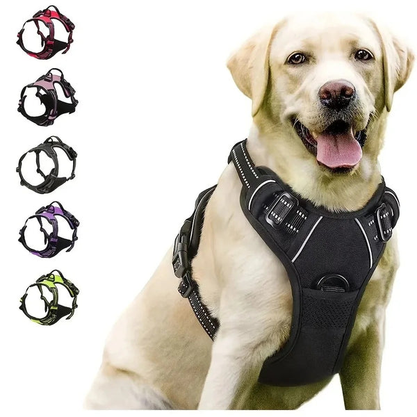 Dog Collars Harness Big Vests Leash Pet Shop